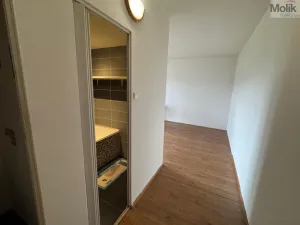 Pronájem bytu 1+1, Most, Brněnská, 33 m2