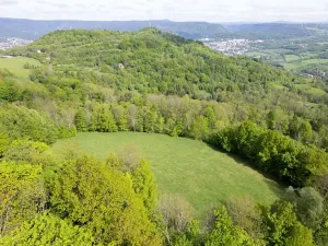 Prodej louky, Děčín, 27274 m2