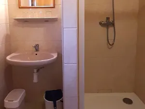 Prodej ubytování, Kašperské Hory - Opolenec, 234 m2