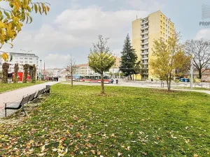 Prodej bytu 3+1, Brno, Mendlovo náměstí, 68 m2