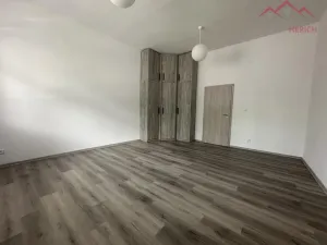 Pronájem bytu 1+1, Chomutov, Školní, 41 m2