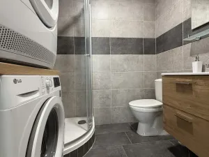 Pronájem bytu 1+1, Chomutov, Školní, 41 m2