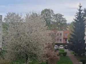 Pronájem bytu 3+kk, Hradec Králové, Jungmannova, 66 m2