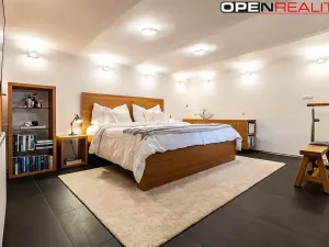 Prodej vícegeneračního domu, Dolní Bojanovice, Vinařská, 367 m2