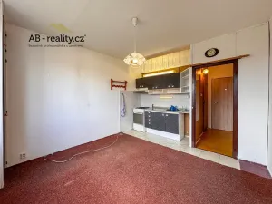 Prodej bytu 1+1, Teplice, Antala Staška, 35 m2
