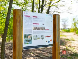 Prodej pozemku pro bydlení, Hovorčovice, 3096 m2