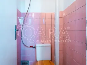 Prodej rodinného domu, Starovice, 300 m2