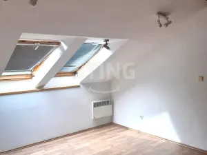 Pronájem bytu 3+1, Mělník, Fibichova, 116 m2