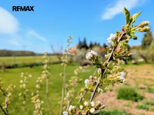 Prodej chaty, Tuněchody, 7 m2