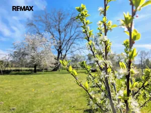 Prodej zahrady, Tuněchody, 1715 m2