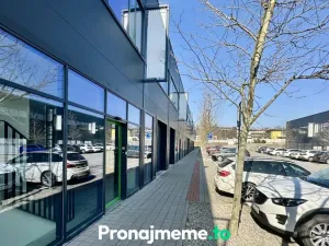 Pronájem výrobních prostor, Znojmo, Brněnská, 474 m2