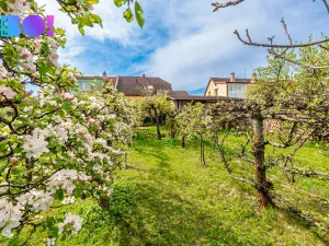 Prodej rodinného domu, Přerov, Hlavní, 149 m2