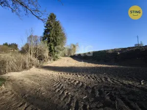 Prodej pozemku pro bydlení, Dolní Cerekev, 3350 m2