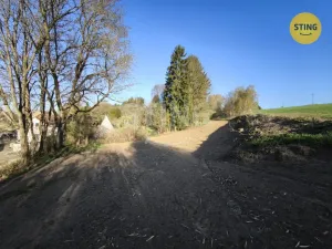 Prodej pozemku pro bydlení, Dolní Cerekev, 3350 m2