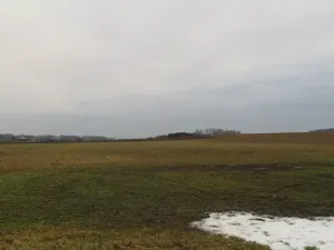 Dražba louky, Račice nad Trotinou, 18528 m2