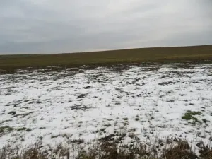 Dražba louky, Račice nad Trotinou, 18528 m2