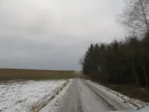 Dražba louky, Račice nad Trotinou, 18528 m2