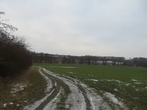 Dražba louky, Račice nad Trotinou, 18528 m2