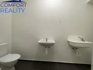 Pronájem obchodního prostoru, Opava - Předměstí, Olomoucká, 220 m2