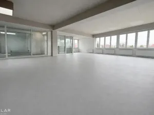 Pronájem obchodního prostoru, Hlučín, Cihelní, 167 m2