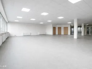 Pronájem obchodního prostoru, Hlučín, Cihelní, 167 m2
