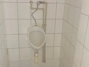 Prodej činžovního domu, Aš, Tyršova, 193 m2