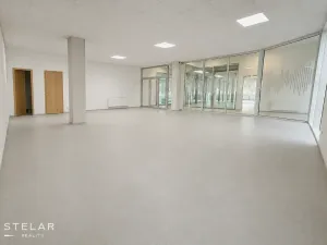 Pronájem obchodního prostoru, Hlučín, Cihelní, 113 m2