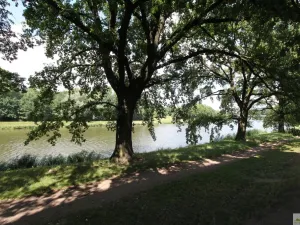 Pronájem bytu 2+kk, Pardubice - Zelené Předměstí, nábřeží Závodu míru, 61 m2