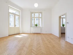 Pronájem bytu 2+1, Praha - Nové Město, Na Zderaze, 86 m2