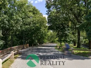 Pronájem bytu 3+1, Praha, U akademie, 130 m2