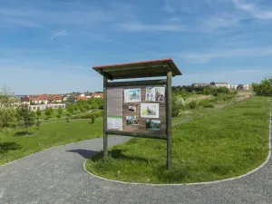 Prodej bytu 1+kk, Praha - Dolní Měcholupy, Honzíkova, 40 m2