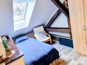 Pronájem bytu 3+1, Jihlava, Mlýnská, 135 m2