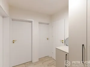 Pronájem bytu 2+kk, Praha - Vinohrady, Mánesova, 46 m2