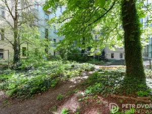 Pronájem bytu 2+kk, Praha - Vinohrady, Mánesova, 46 m2