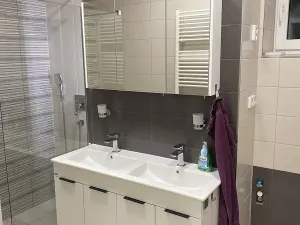 Pronájem bytu 2+1, Olomouc, Helceletova, 128 m2