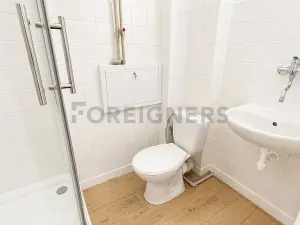 Pronájem bytu 2+kk, Praha - Smíchov, Staropramenná, 40 m2
