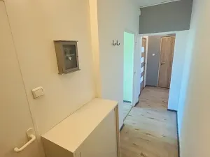 Prodej bytu 2+1, Přerov, Velká Dlážka, 55 m2