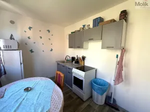 Prodej bytu 4+1, Krupka - Maršov, Karla Čapka, 99 m2