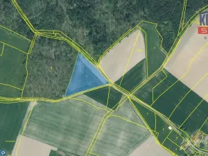 Prodej pole, Příkosice, 41005 m2