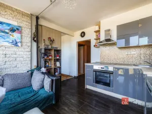 Pronájem bytu 2+1, Plzeň - Litice, Klatovská, 40 m2