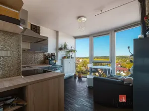 Pronájem bytu 2+1, Plzeň - Litice, Klatovská, 40 m2