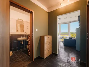 Pronájem bytu 2+1, Plzeň - Litice, Klatovská, 40 m2