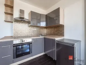 Pronájem bytu 2+1, Plzeň - Litice, Klatovská, 40 m2