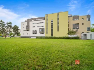 Pronájem bytu 1+kk, Hradec Králové - Nový Hradec Králové, Kejzlarova, 31 m2