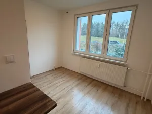 Pronájem bytu 2+1, Chomutov, Školní pěšina, 50 m2