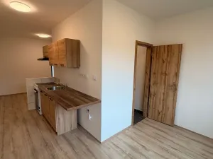 Pronájem bytu 2+1, Chomutov, Školní pěšina, 50 m2