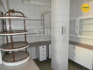 Pronájem obchodního prostoru, Opava - Kylešovice, Hlavní, 240 m2