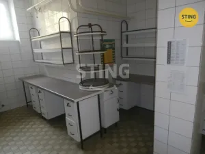 Pronájem obchodního prostoru, Opava - Kylešovice, Hlavní, 240 m2