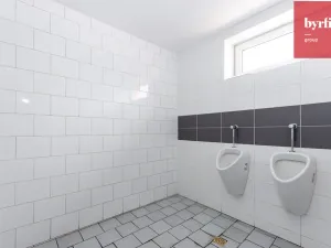 Pronájem kanceláře, Opava, Pekařská, 273 m2