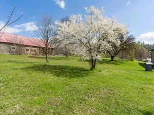 Prodej obchodního prostoru, Václavov u Bruntálu - Horní Václavov, 167 m2